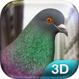Pigeon Simulator icône