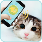 Cat Translator icon