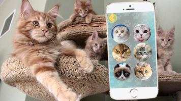 Katze Übersetzer Screenshot 2