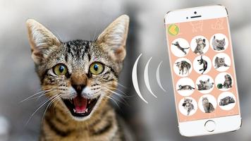 Cat Translator ภาพหน้าจอ 3