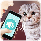 Cat Translator APK