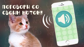 Переводчик на кошачий язык постер