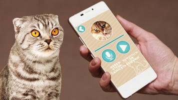 Cat Translator syot layar 2