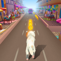 Pet Cat Dash