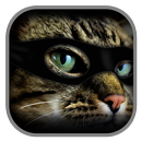 Найди 3 Кота-APK