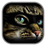 Найди 3 Кота