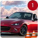 Real Car Parker Drive APK