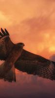 Hawk Wallpaper पोस्टर