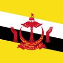 Brunei Wallpaper aplikacja