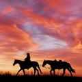 Wild West Wallpaper