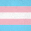 Transgender Wallpaper
