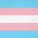 Transgender Wallpaper APK