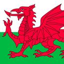 Wales Wallpaper aplikacja