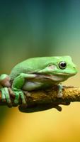 Frog Wallpaper capture d'écran 3