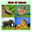 World Animal Type APK