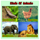 World Animal Type APK