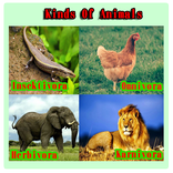 세계 동물 유형