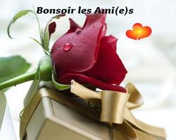Bonsoir et bonjour 2020 screenshot 1