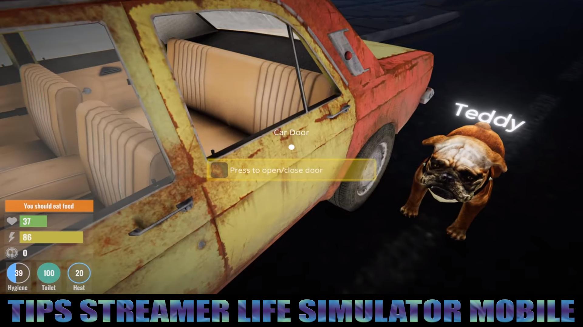Streamer life simulator стим фото 35