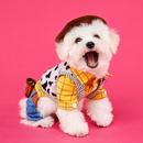 Fondos de Pantalla Perritos Gratis APK