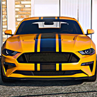 ikon Mustang Race X Super Drive