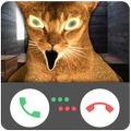 Call from Scary Cat