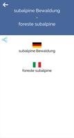 German Italian Dictionary (OFFLINE) capture d'écran 3