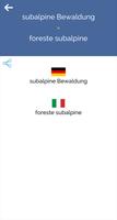 Deutsch Italienisch Wörterbuch Screenshot 3