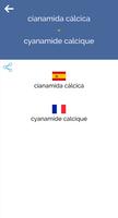 Spanish French Dictionary Screenshot 2