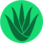 Aloe Organizer icon