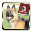 APK How Train my Dog~Training Pet