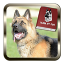 How Train my Dog~Training Pet-APK