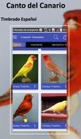 Canto Canario Timbrado Español screenshot 2