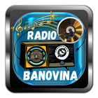 Radio Banovina آئیکن