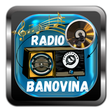 Radio Banovina icône