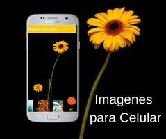 Images for Mobile Phone Screenshot 3