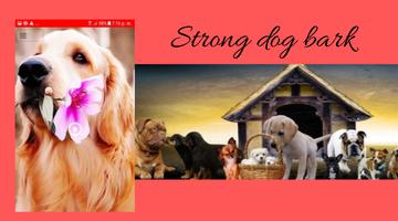 Big dog barking screenshot 3