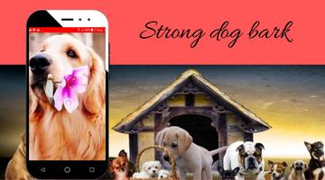 Big dog barking-poster