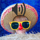 Sonido Campana Cuchi Cuchi icono