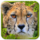 Cheetah Hunter 2024 - Game APK