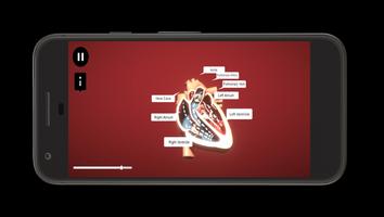 Heart Simulator Cartaz