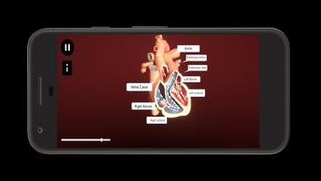 Heart Simulator imagem de tela 1