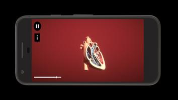 Heart Simulator imagem de tela 2