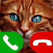 고양이 가짜 전화 게임