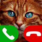 gato juego de llamada falsa icono