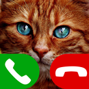 fake call cat game APK