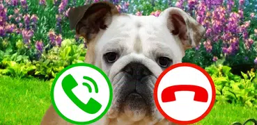 fake call dog game