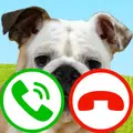 Fake Call Dog Game