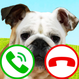 fake call dog game 图标