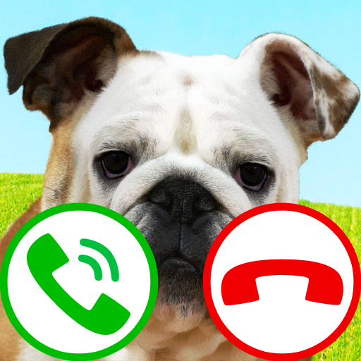Täuschungsanruf hund spiel